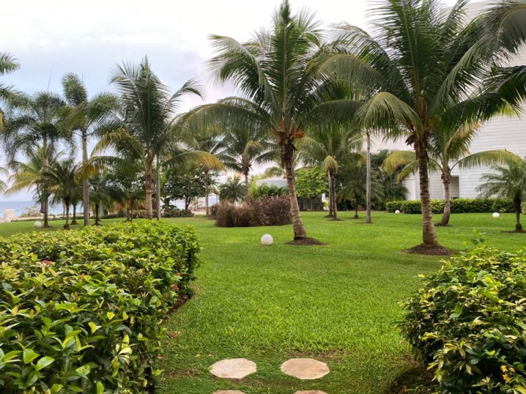 部屋からの眺望