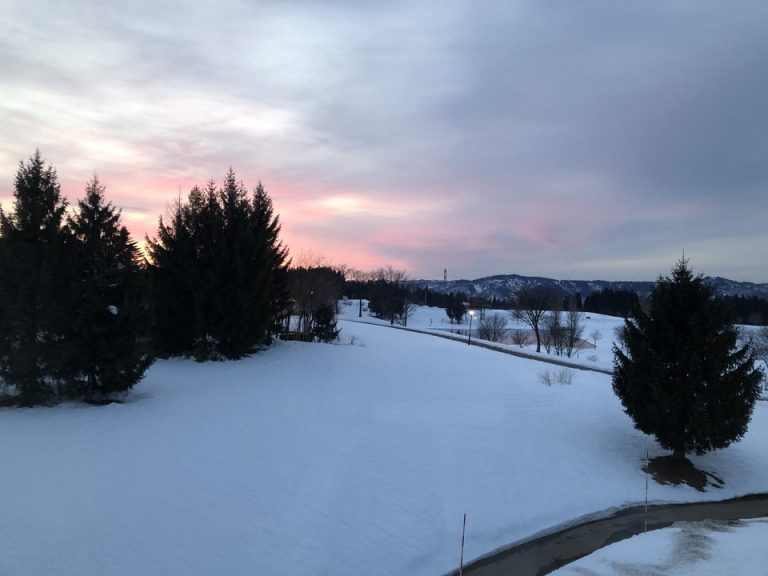 窓からの眺望(1)