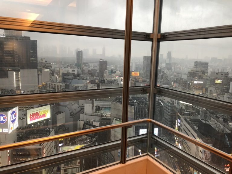 4基ある客室階エレベーターのうち、一部はシースルーエレベーターになっています