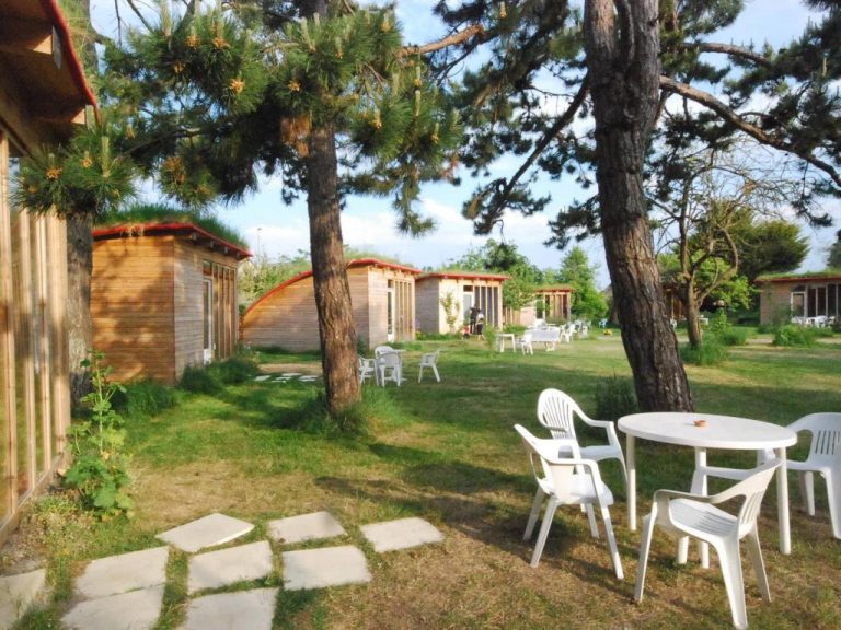 131364_13021402310010349828