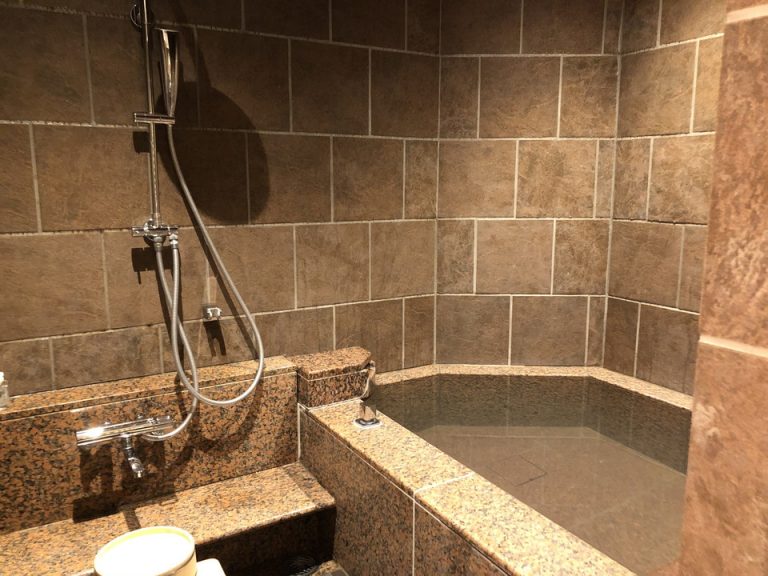 バスルーム入口から全景