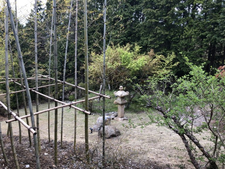 レジデンス棟前庭