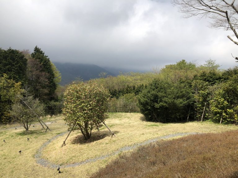 自然豊かな前庭