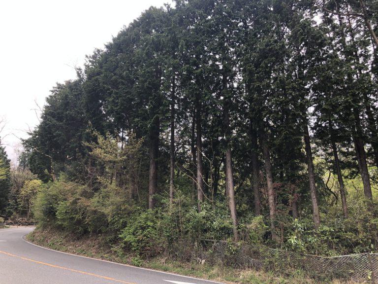 敷地入り口周辺1