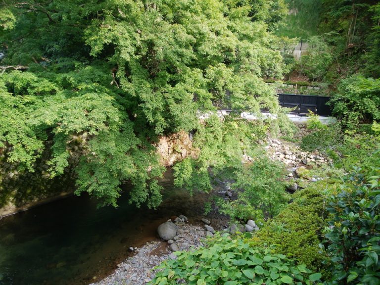 テラスから見える吉奈川景色