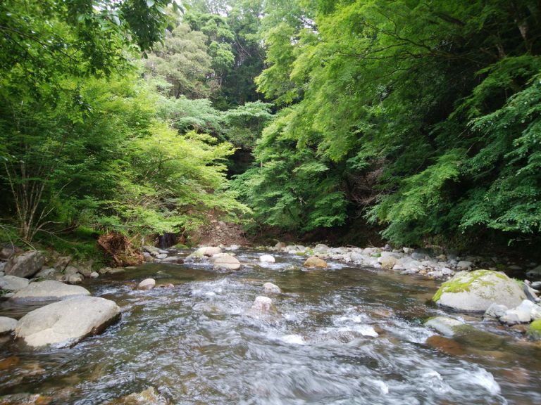 吉奈川は水が綺麗で静かで癒され系です〜
