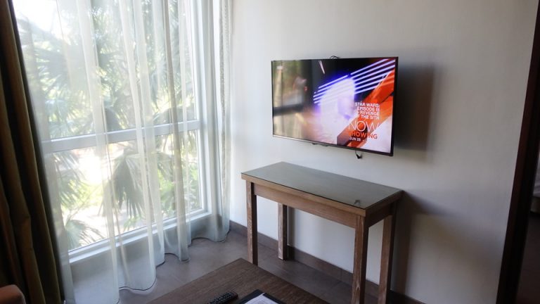 ORG_DSC06011テレビ