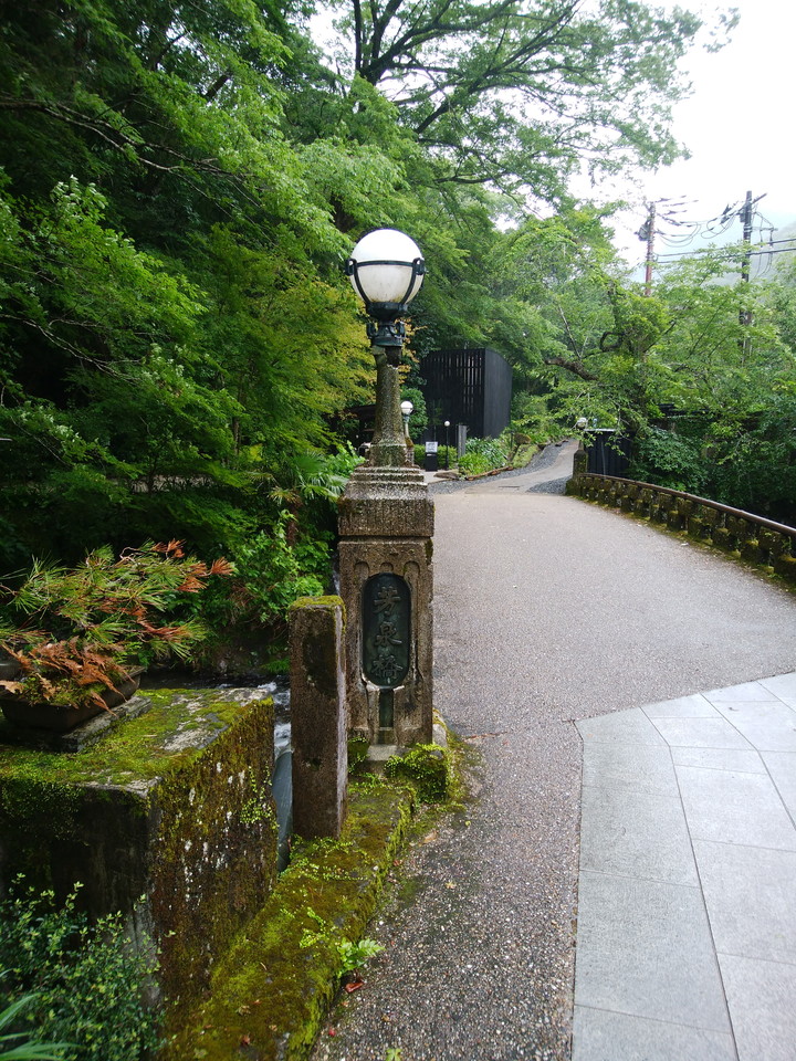 芳泉橋のレトロ街灯と苔のコラボはいい感じです