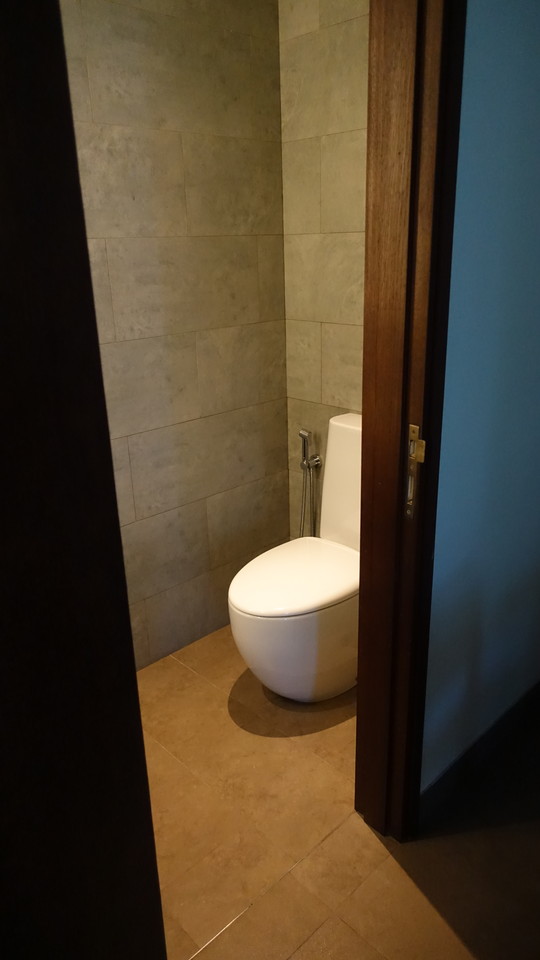 ORG_DSC06006トイレ一個目。入口横です。