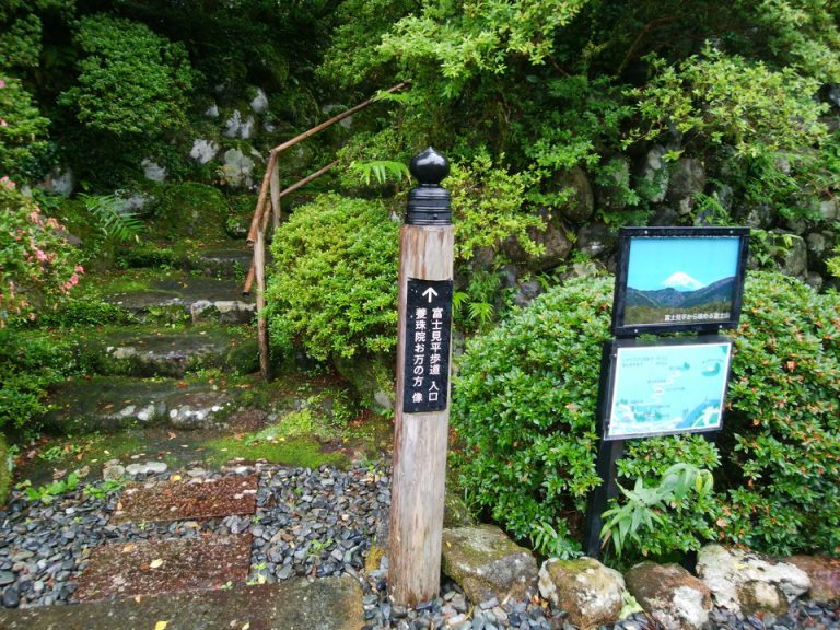 敷地内には富士見平散策コースがあり天候が良ければ富士山が拝めるそうです。登りたかった。。。