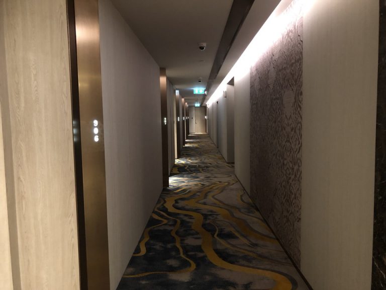 客室廊下全体