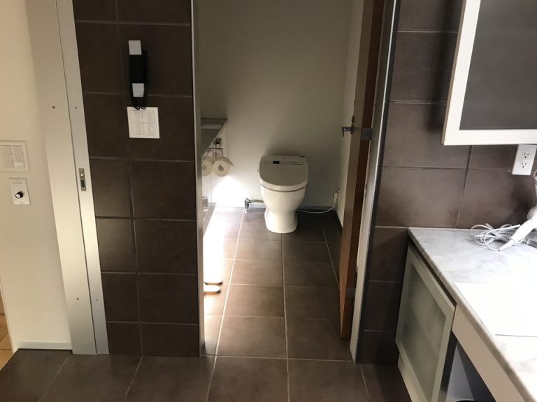 トイレ1(照明が足元だけなので暗め)