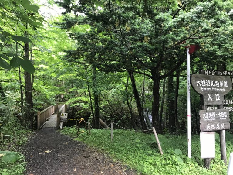 観光3(天然足湯への遊歩道)