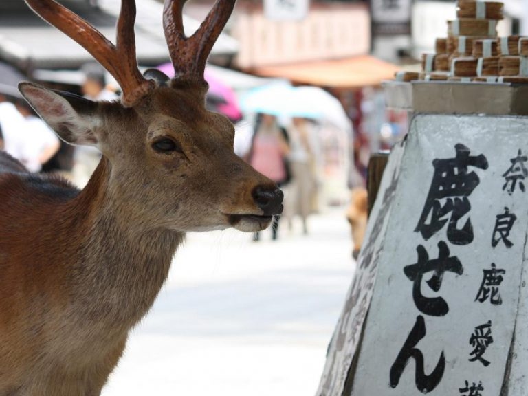 207014_17101216330057738457