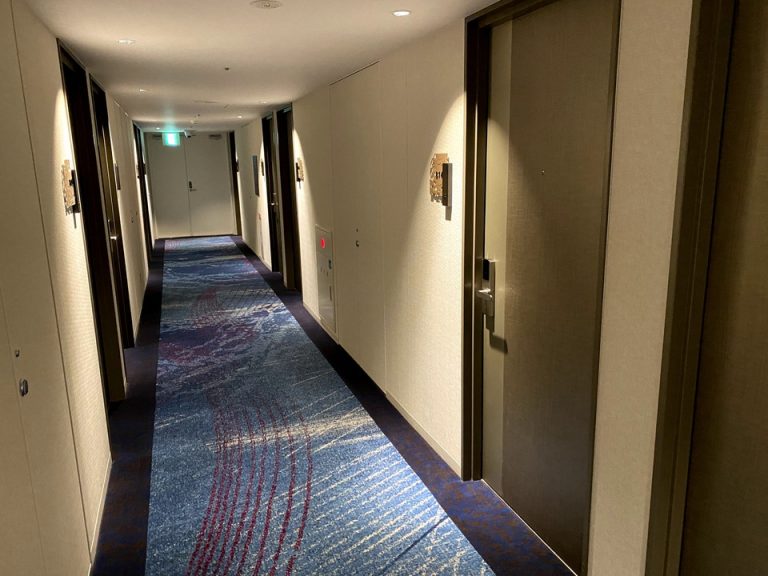 客室入り口付近の廊下