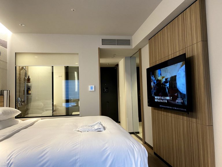 客室全体(窓際方向)