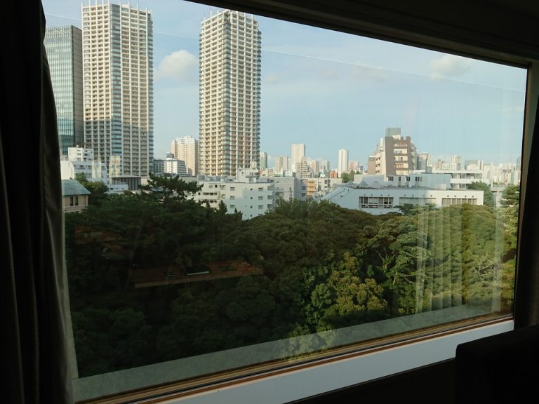 部屋からの眺望 特に名所が見えるわけではありませんが、時折飛行機が飛んで行くのが見えました。