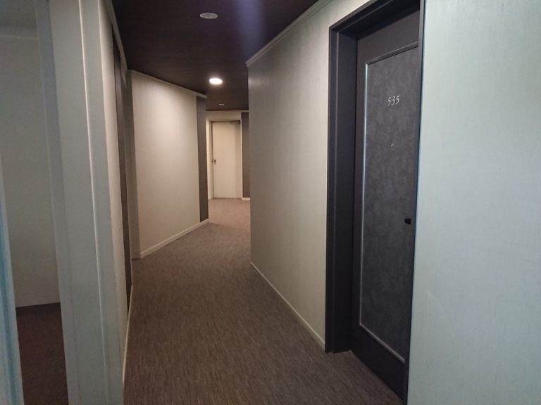 客室入口付近の廊下