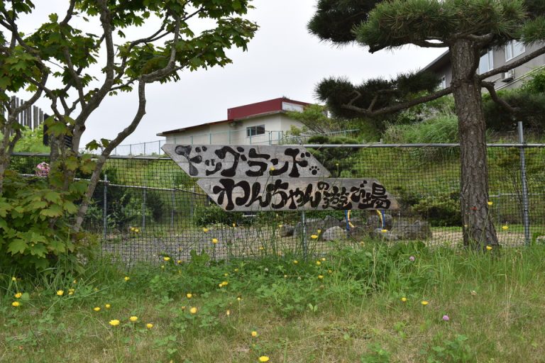 わんちゃんの遊び場