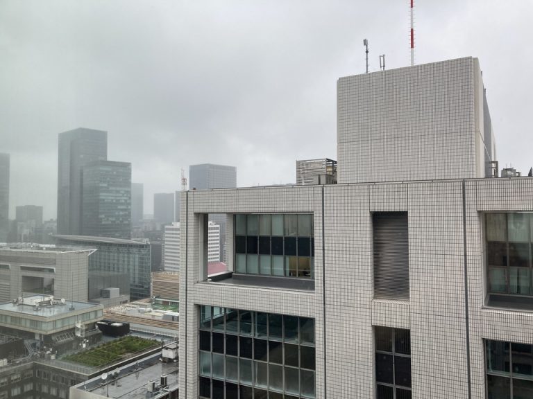 部屋からの眺望。ビルばかりですが、天気がいい日は左奥にスカイツリーが見えます。
