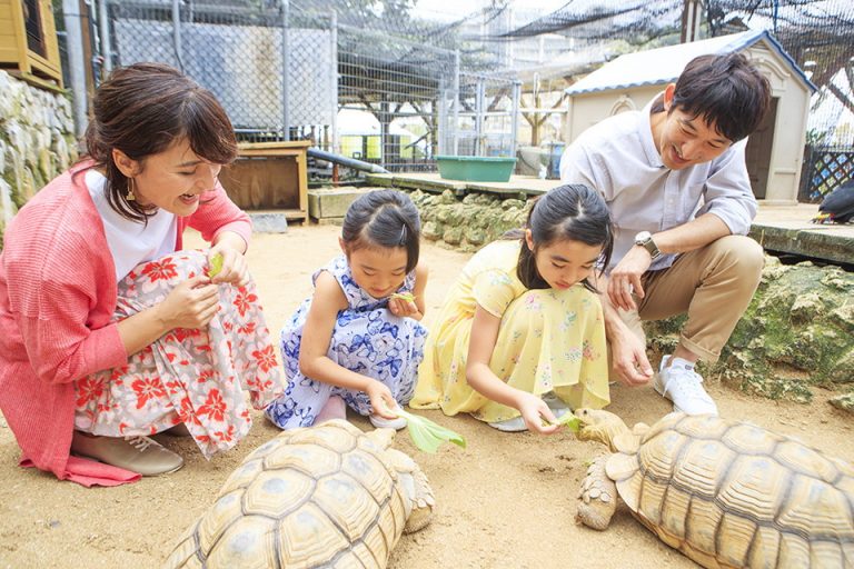 もぐもぐカメさん