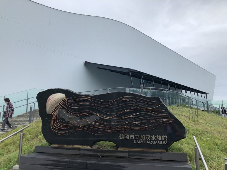 ホテルから5㎞ 鶴岡市立加茂水族館