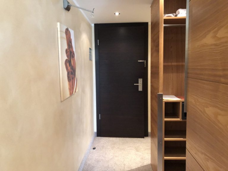 客室入り口内観ドア