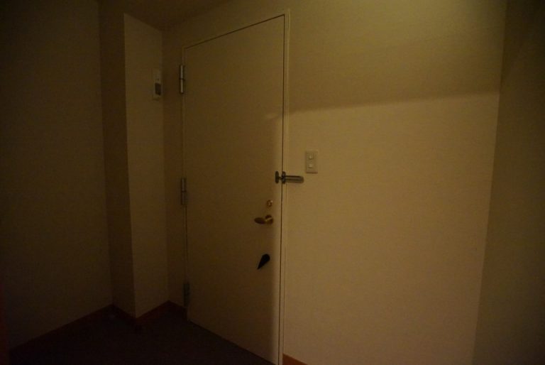 客室入り口内観ドア