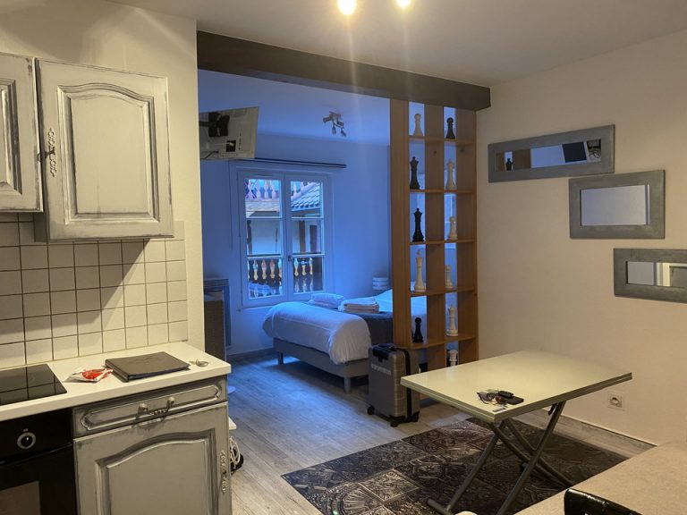 客室全体(窓際方向)1