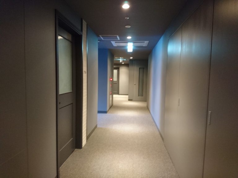 客室入口付近廊下