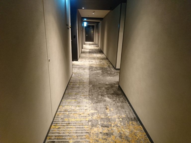 客室入口付近廊下