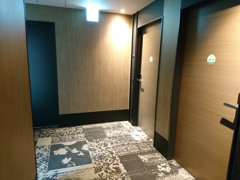 客室入口付近廊下