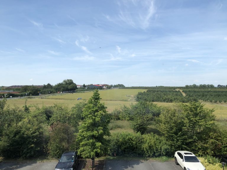 部屋からの眺望