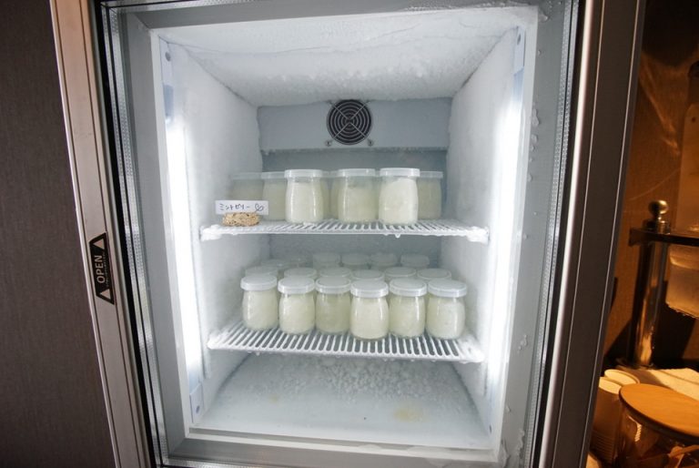 Nest Roomに常備されている冷たいスイーツ。この日はミントゼリーだった。