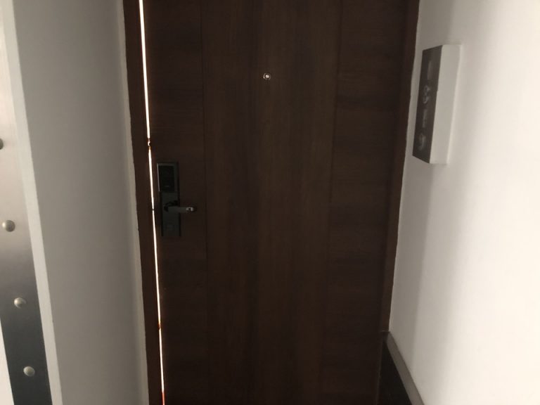 客室入口外観ドア