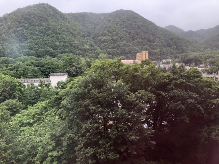 客室からの眺め