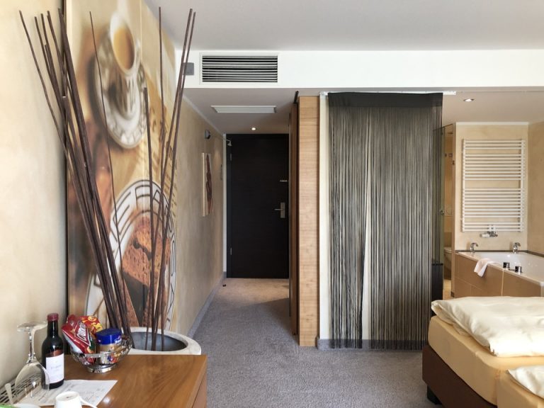 客室入り口内観2