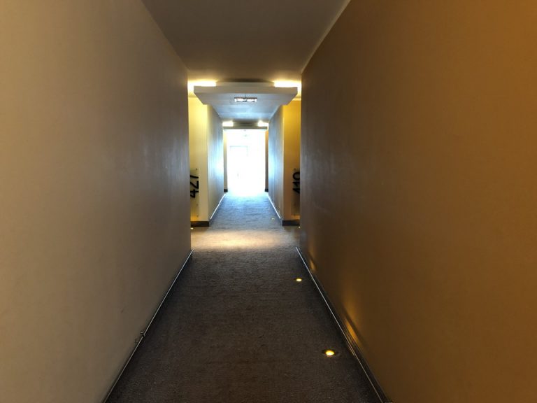 客室入り口付近廊下