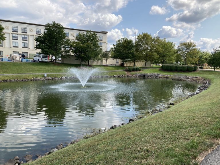 ホテル敷地内庭(1)