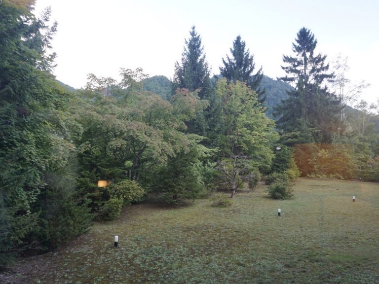 客室から見える景色