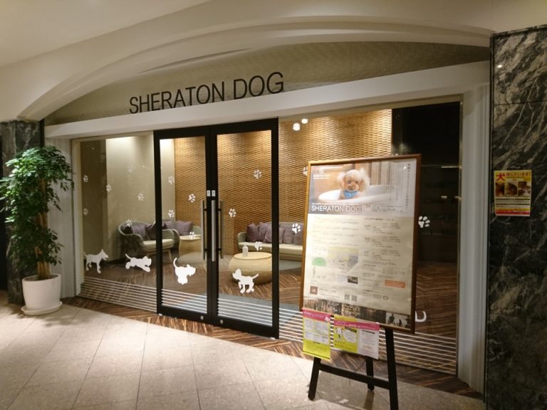 シェラトンスクエア1階「シェラトンドッグ」