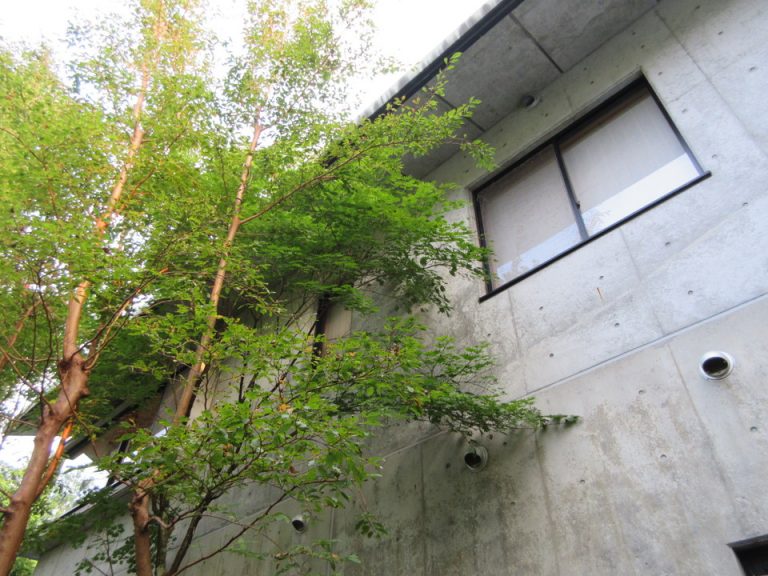 別邸_建物全体⑴