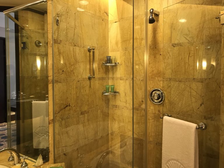 シャワーの水量、温度共に問題ありません。蛇口は向きのみ変えられます。
