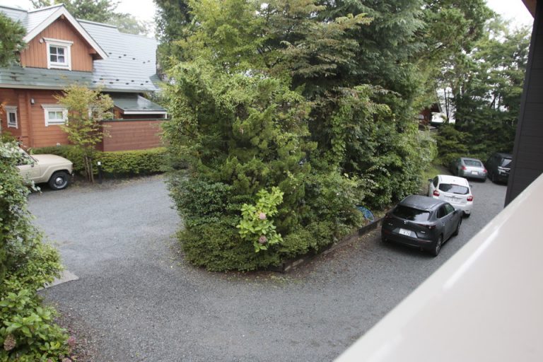 2Fバルコニー (5)