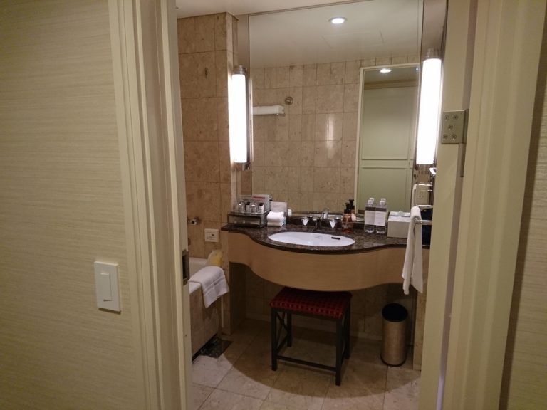 バスルーム入口からの全景