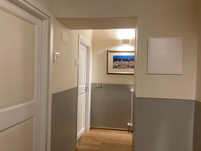 客室入口付近廊下