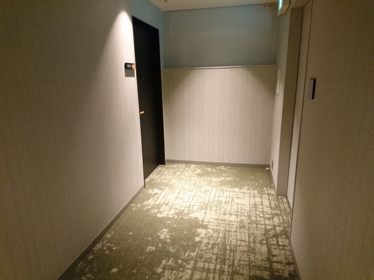 客室入口付近廊下