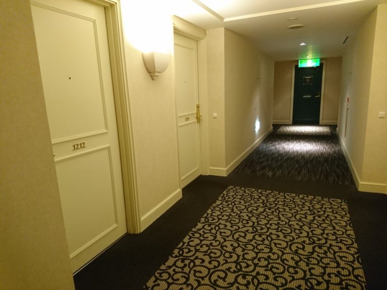 客室入口付近廊下