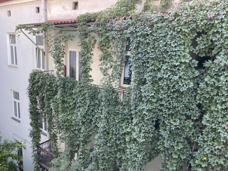 部屋からの眺望2