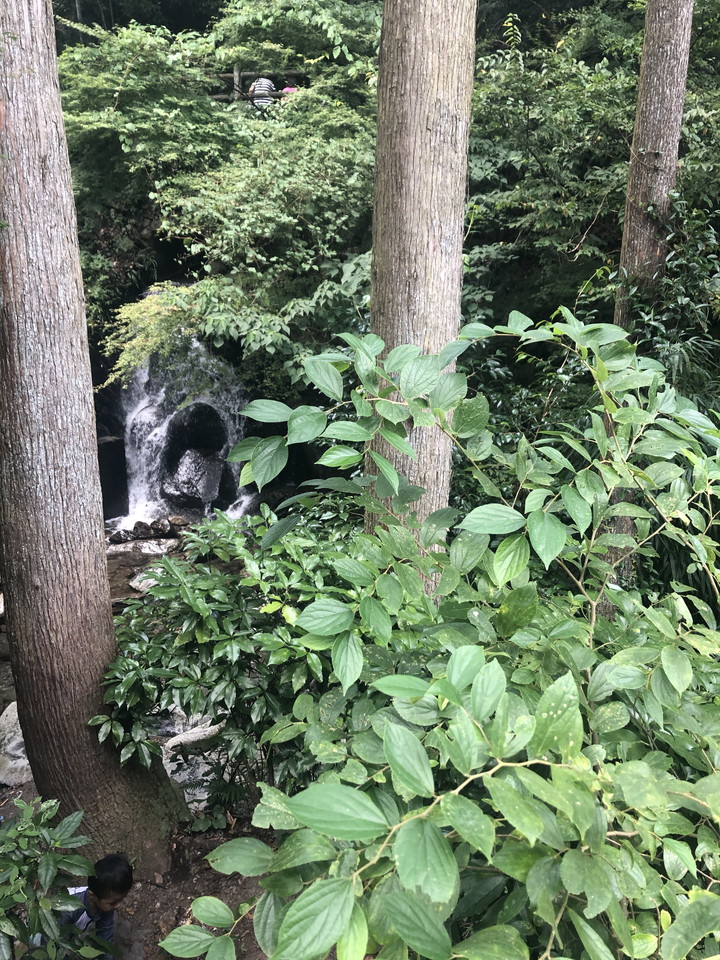 ホテル周辺観光スポット